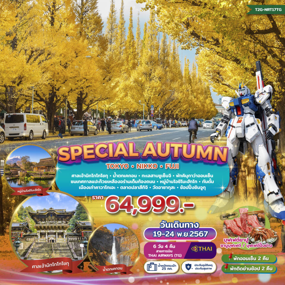 ทัวร์ญี่ปุ่น SPECIAL AUTUMN TOKYO FUJI NIKKO 6วัน 4คืน (TG)