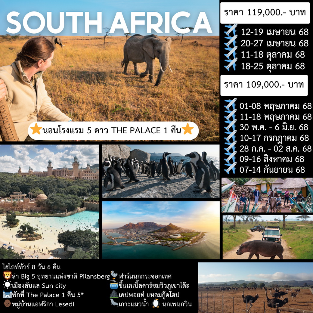 ทัวร์แอฟฟิกาใต้ South Africa  8วัน 6คืน (EK)